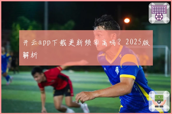 开云app下载更新频率高吗？2025版解析