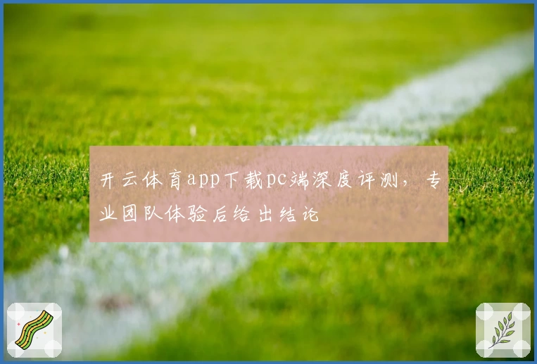 开云体育app下载pc端深度评测，专业团队体验后给出结论